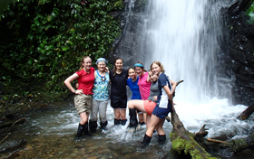 Challenge yourself while trekking the jungle! Challenge yourself while trekking the jungle!